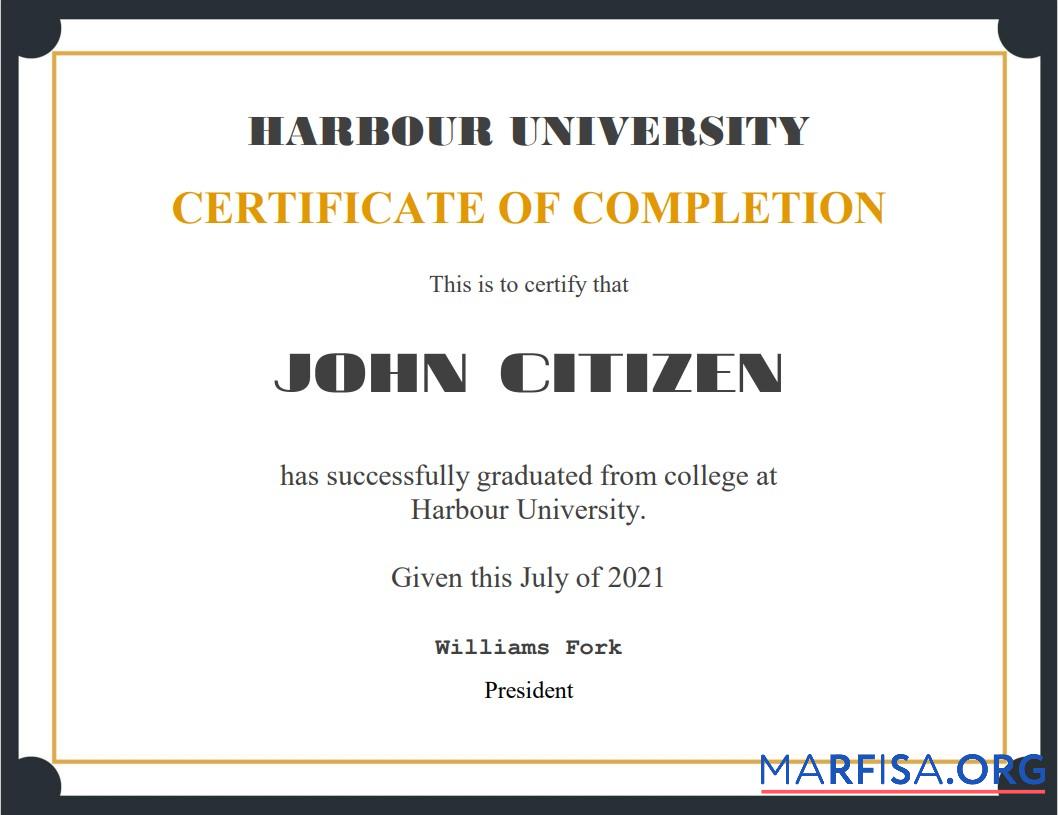 Printable USA Recognition Cert real example